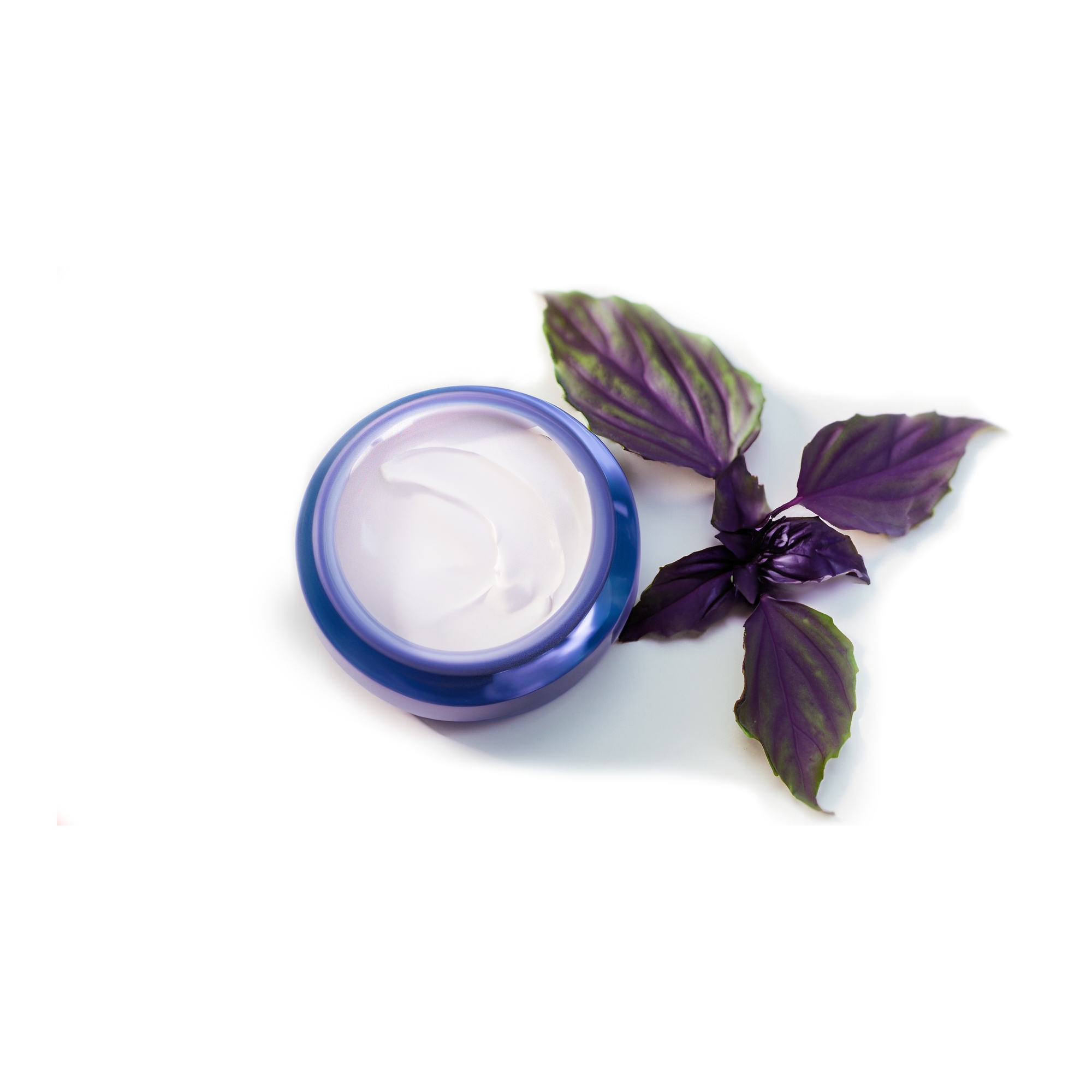 Purple Basil Face Cream: Mattifying Moisturizer