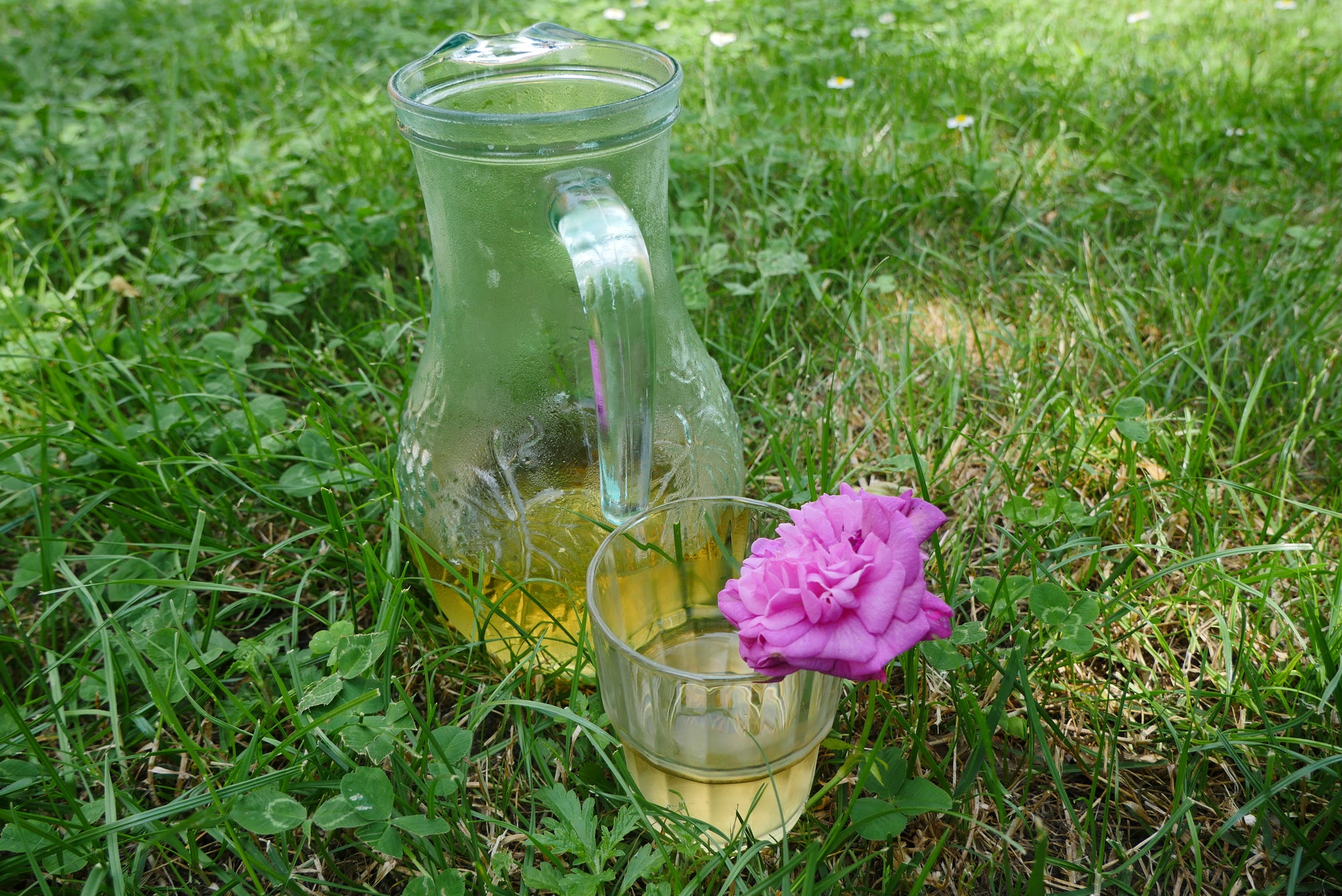 Rose di San Lazzaro Candle