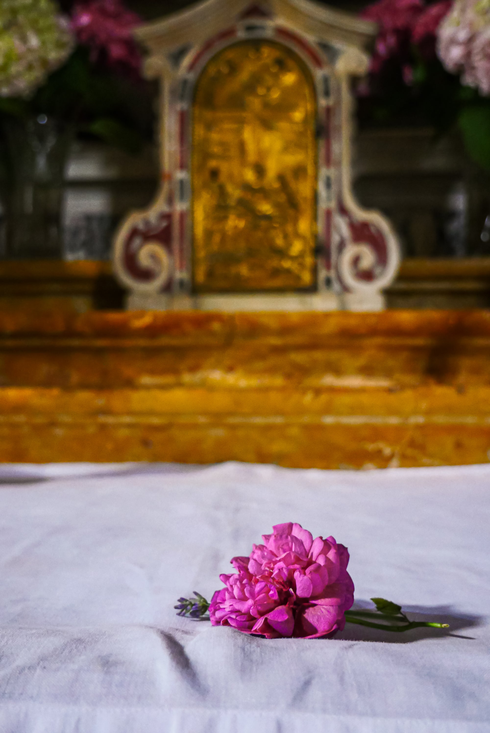 Rose Di San Lazzaro Small Candle