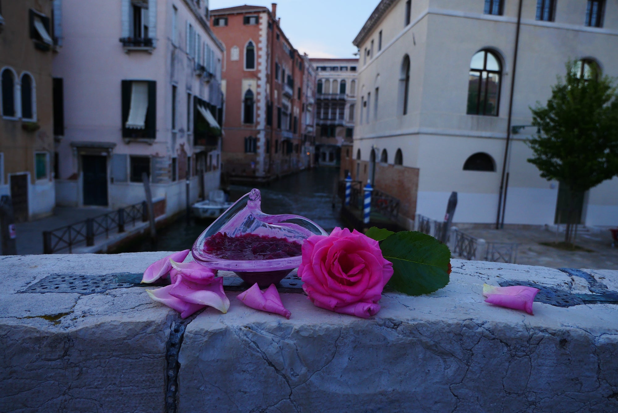 Rose di San Lazzaro Candle